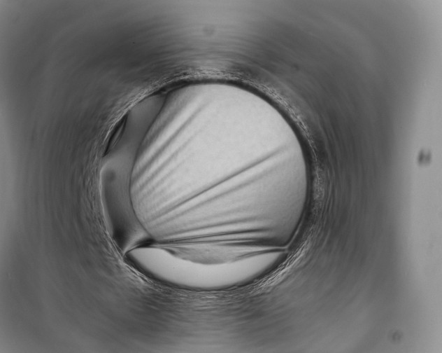 X0000098220481200805151321