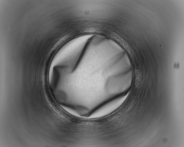 X0000098220482200805151321