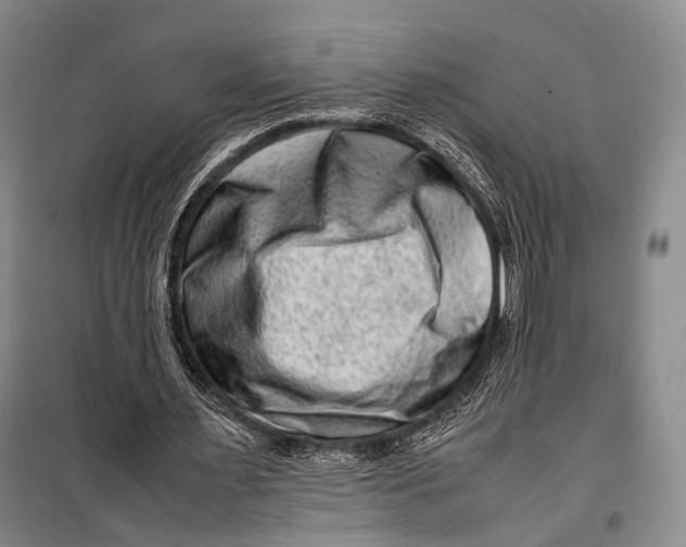 X0000098220483200805151321