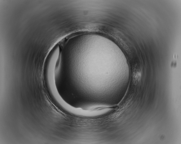 X0000098220484200805151321