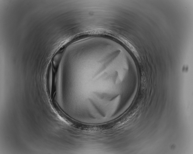 X0000098220485200805151321