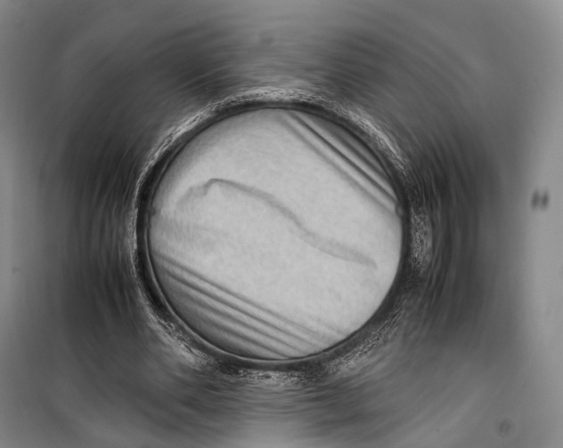 X0000098220486200805151321