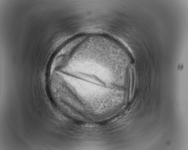 X0000098220487200805151321