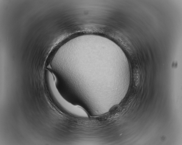 X0000098220488200805151321