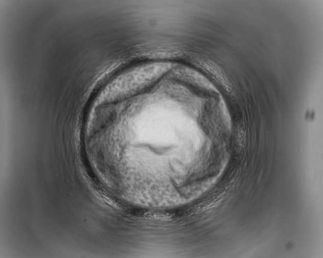 X0000098220491200805151321