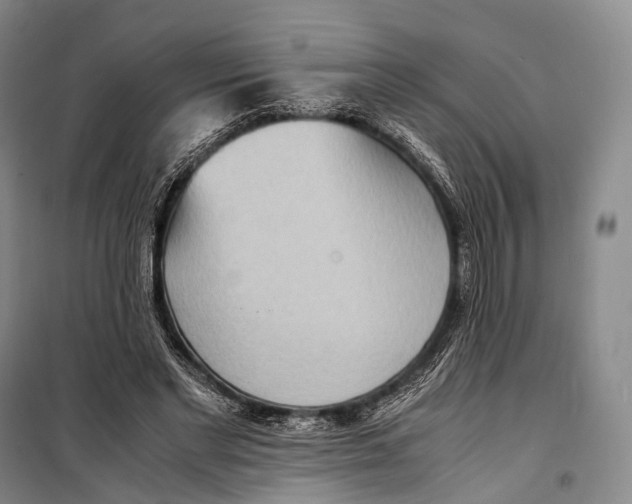 X0000098220493200805151321