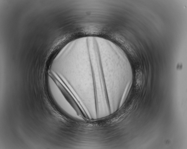 X0000098220494200805151321