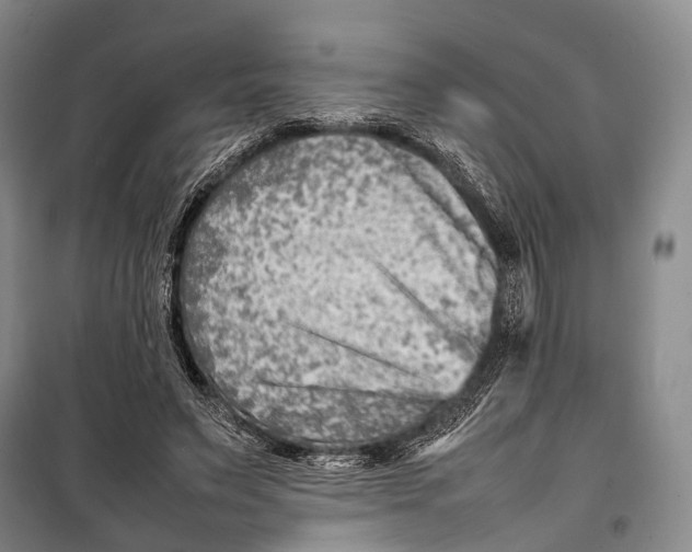 X0000098220495200805151321