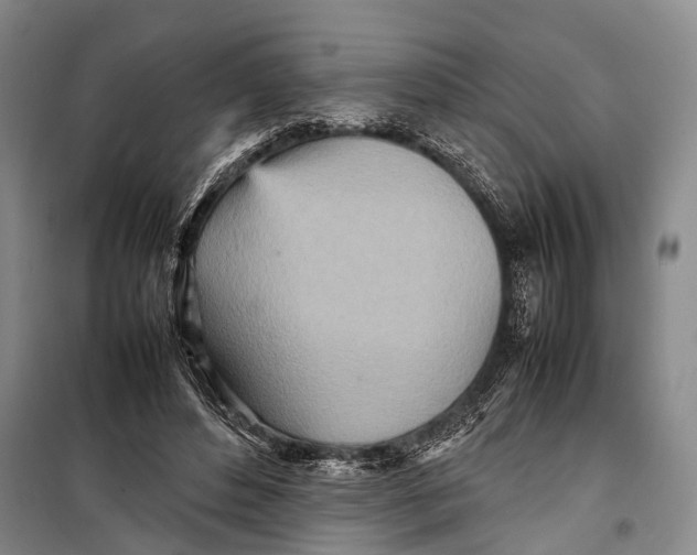 X0000098220496200805151321