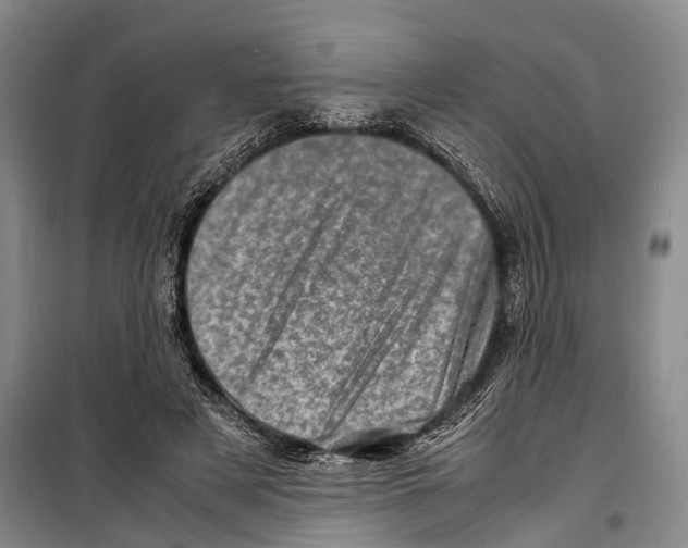 X0000098220497200805151320