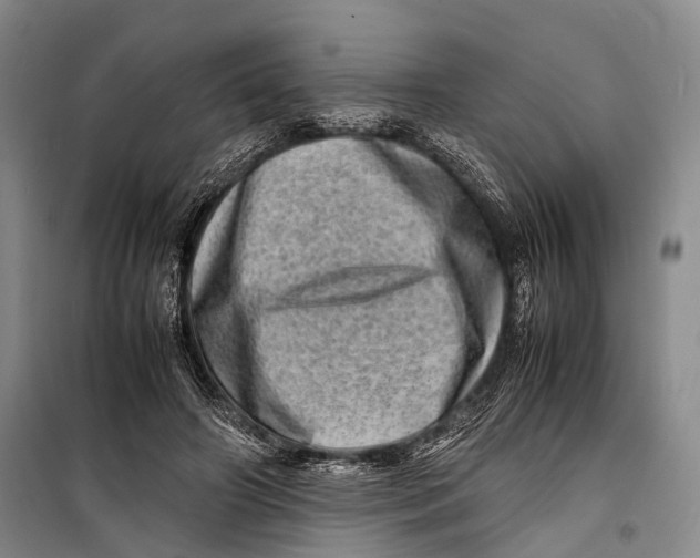 X0000098220498200805151320