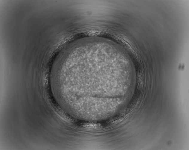 X0000098220499200805151320