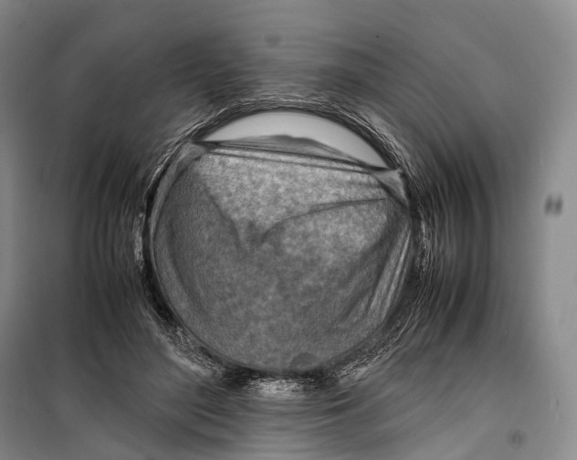 X0000098220500200805151320