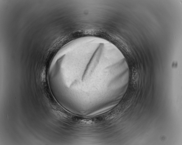 X0000098220502200805151320