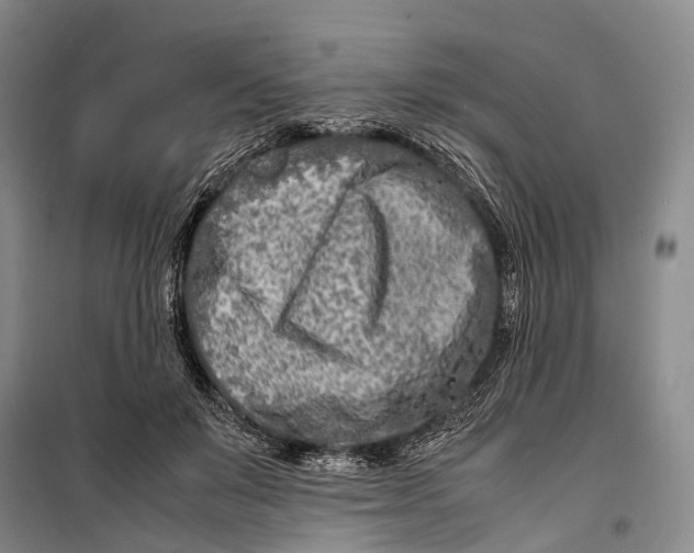 X0000098220503200805151320