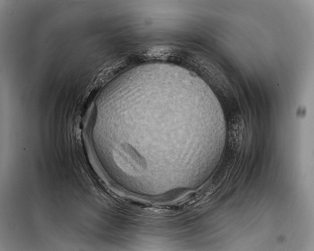 X0000098220504200805151320