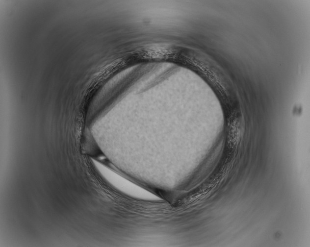 X0000098220505200805151320