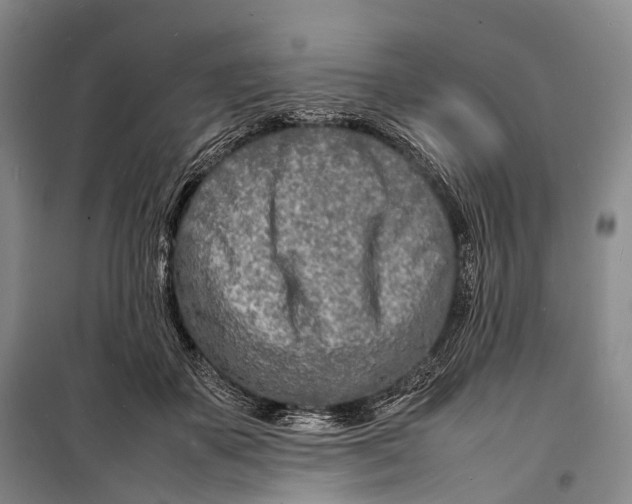 X0000098220507200805151320