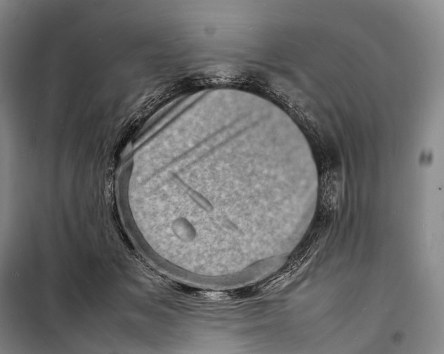 X0000098220509200805151320