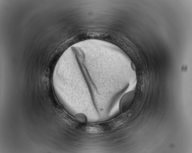 X0000098220510200805151320