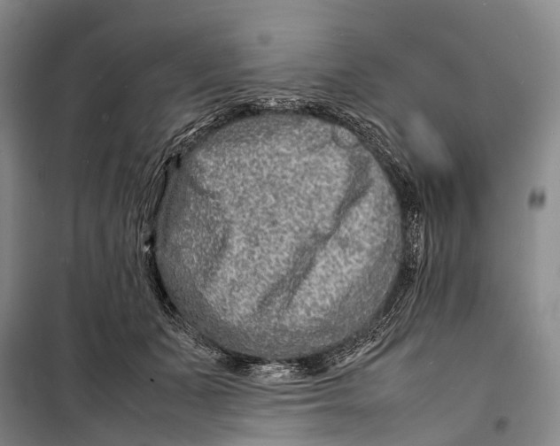 X0000098220511200805151320