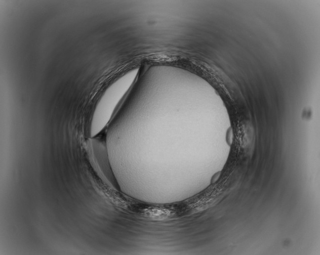 X0000098220512200805151320