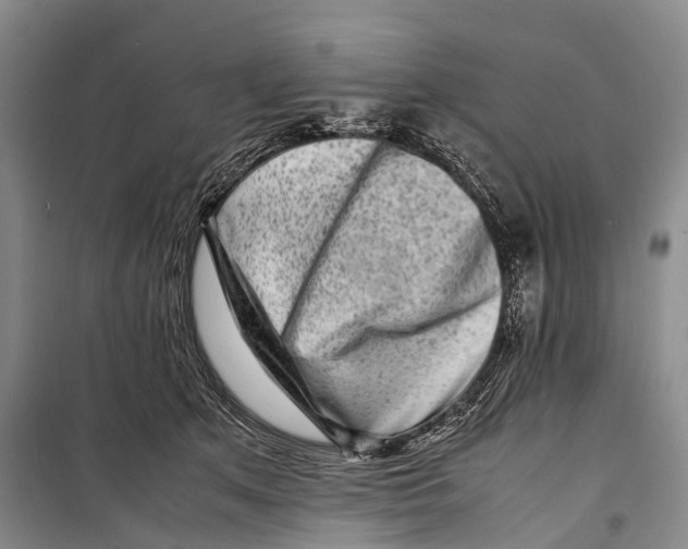 X0000098220513200805151320