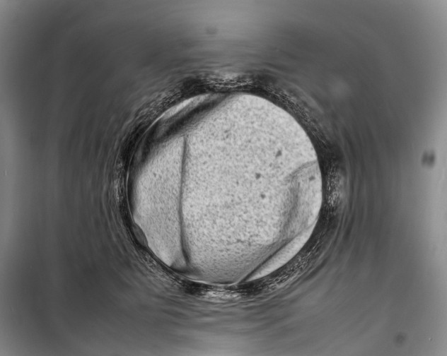 X0000098220515200805151320