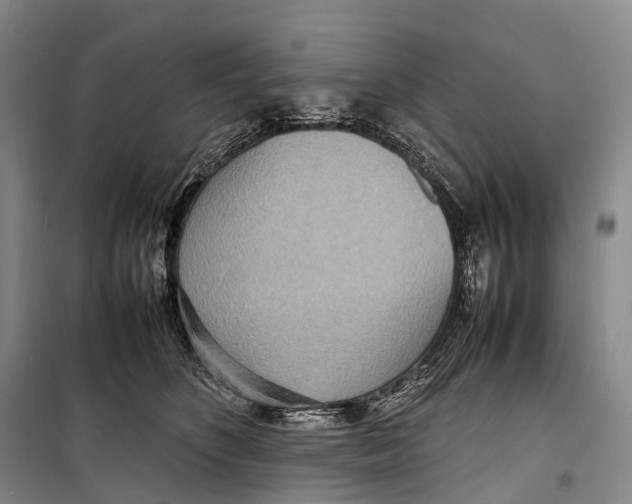 X0000098220516200805151320