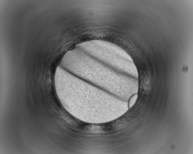 X0000098220518200805151320