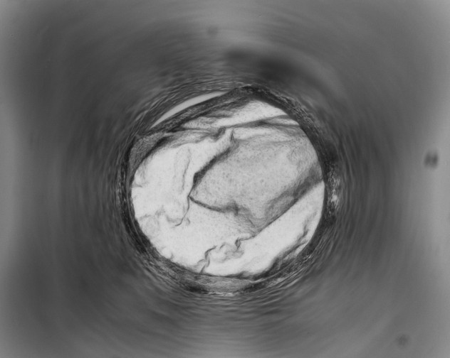 X0000098220519200805151320