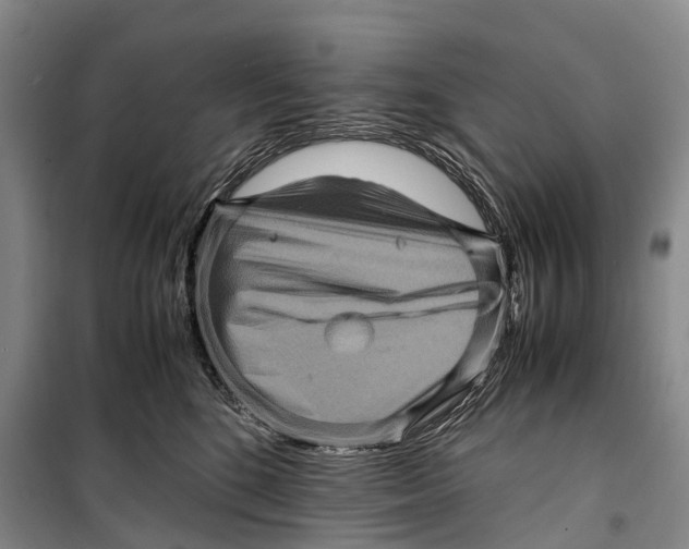 X0000098220520200805151320