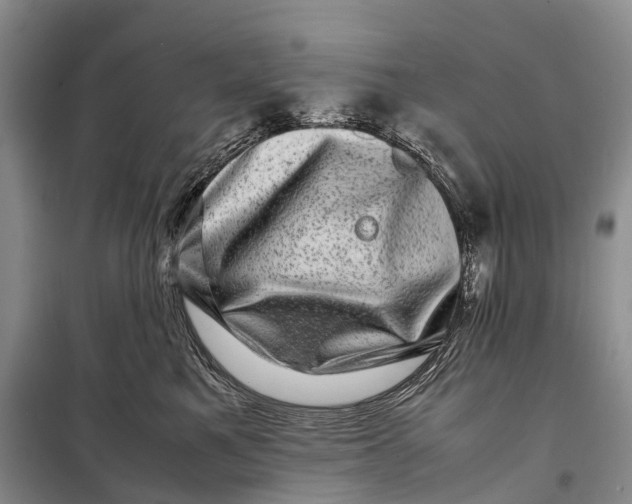 X0000098220521200805151320