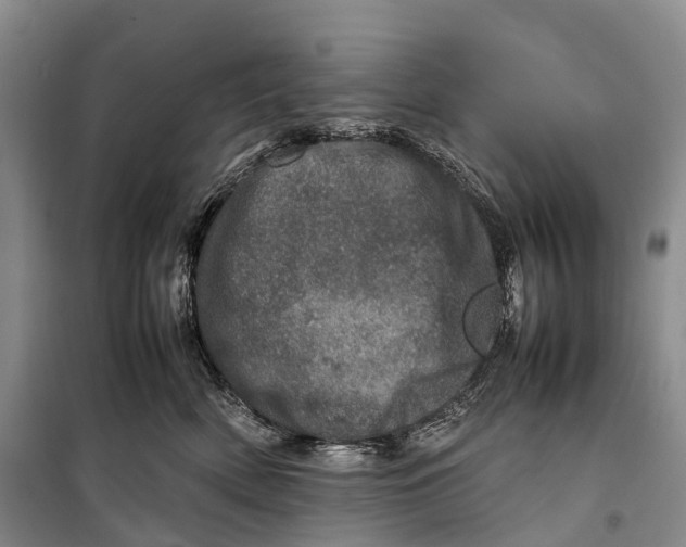 X0000098220522200805151320