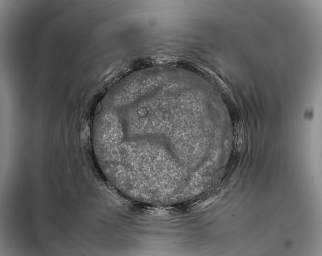 X0000098220523200805151320