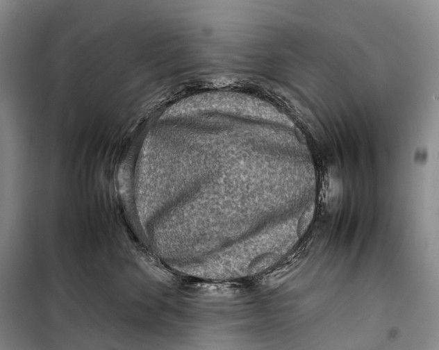 X0000098220524200805151320