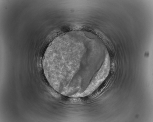 X0000098220525200805151320