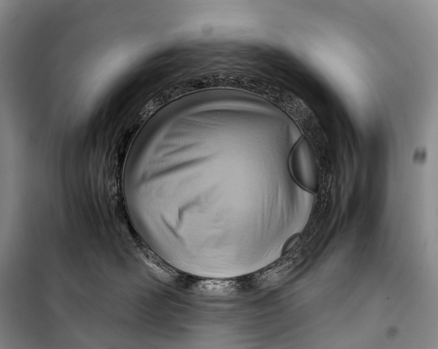 X0000098220526200805151320