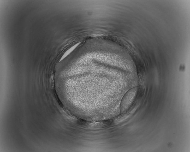 X0000098220527200805151320