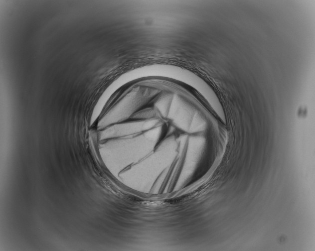 X0000098220528200805151320