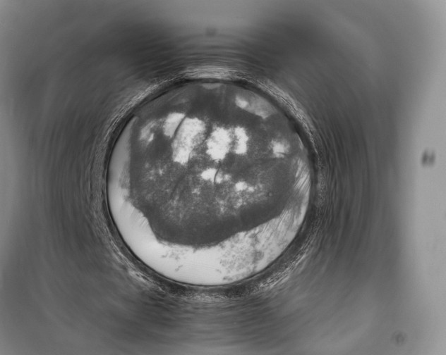 X0000098220529200805151319