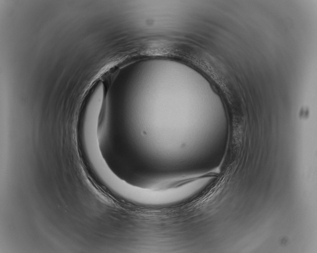 X0000098220530200805151319