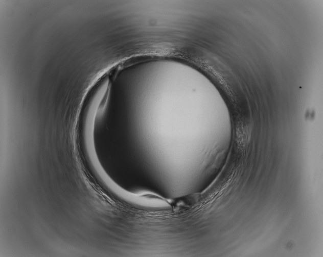 X0000098220532200805151319