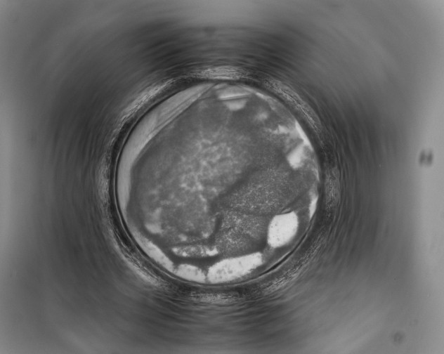 X0000098220533200805151319