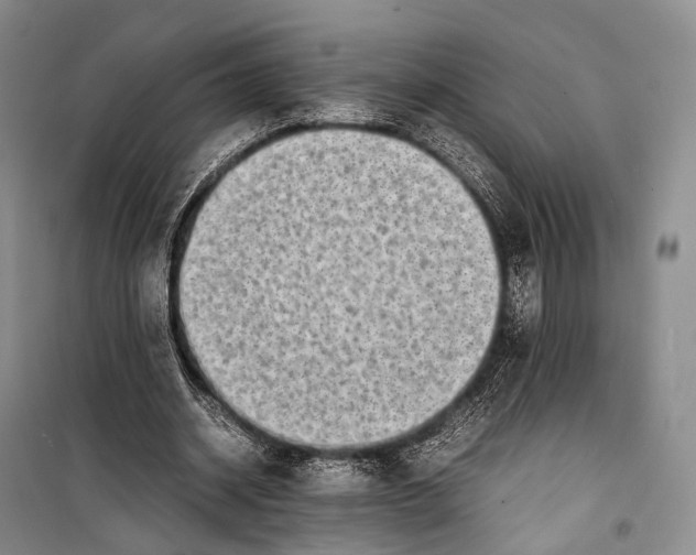 X0000098220534200805151319