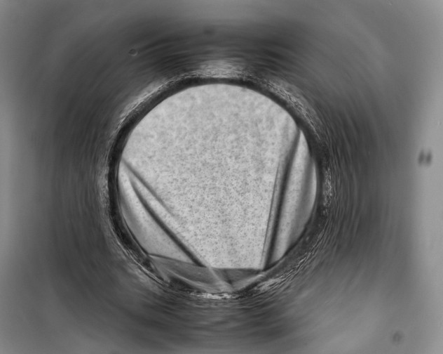 X0000098220535200805151319