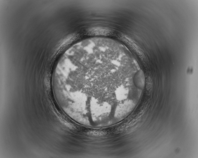 X0000098220537200805151319