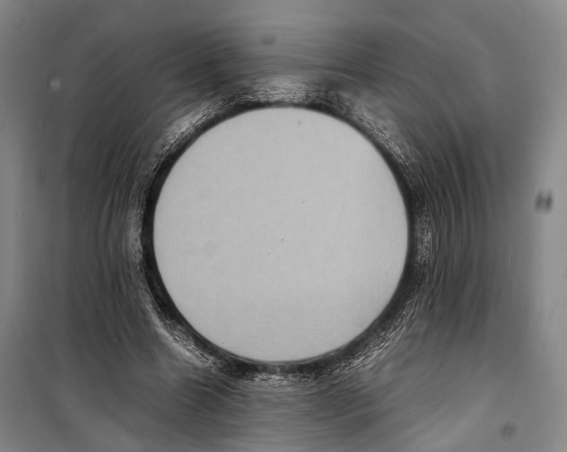 X0000098220538200805151319