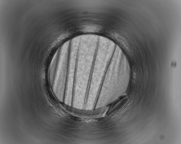 X0000098220539200805151319