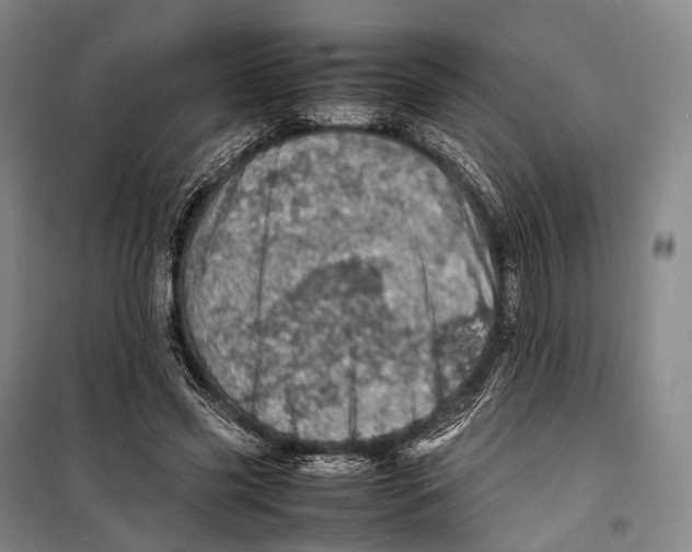 X0000098220541200805151319